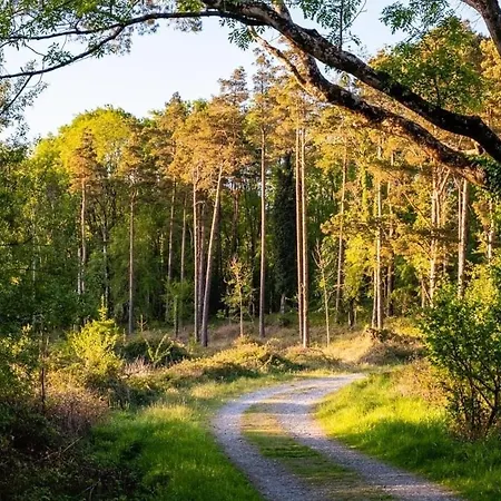 Oak 4* פורטומנה