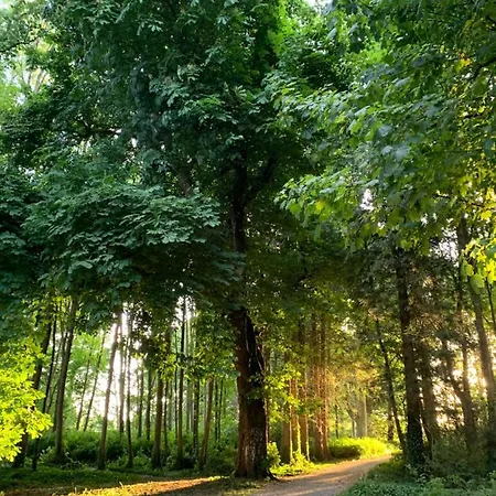 Oak Πανσιόν 4*