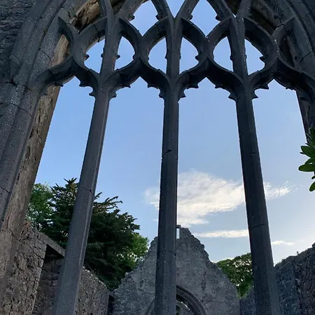 Πανσιόν Oak Portumna