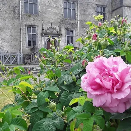 בית הארחה Oak פורטומנה