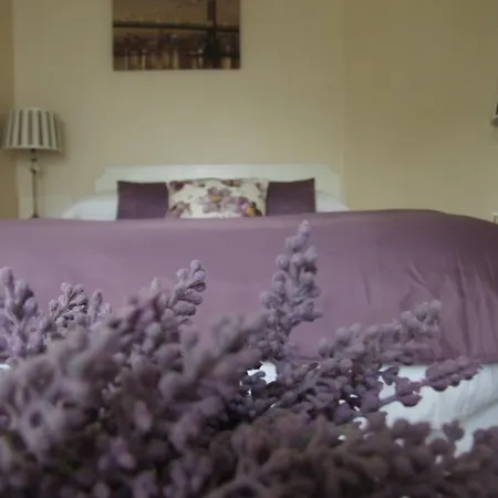 Oak בית הארחה פורטומנה