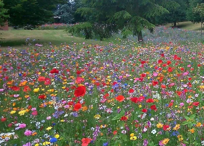 Oak Gasthof Portumna