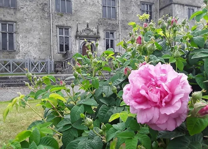 Gasthof Oak Portumna