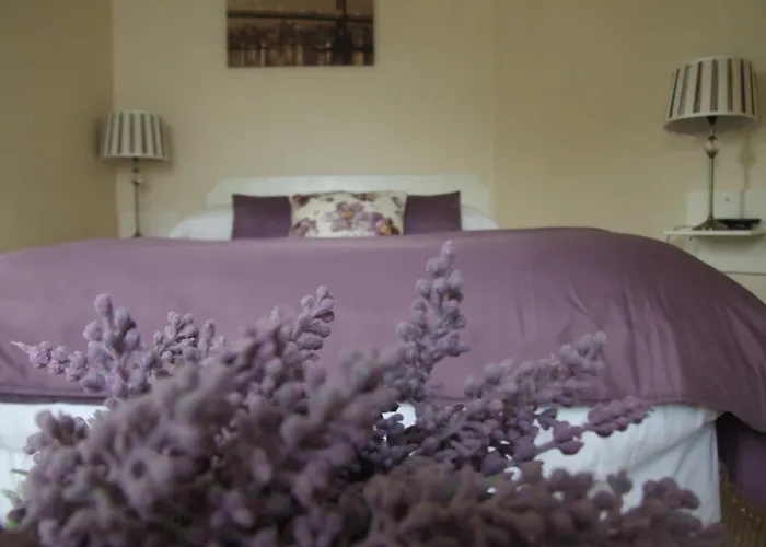 Oak 招待所 波塔姆纳